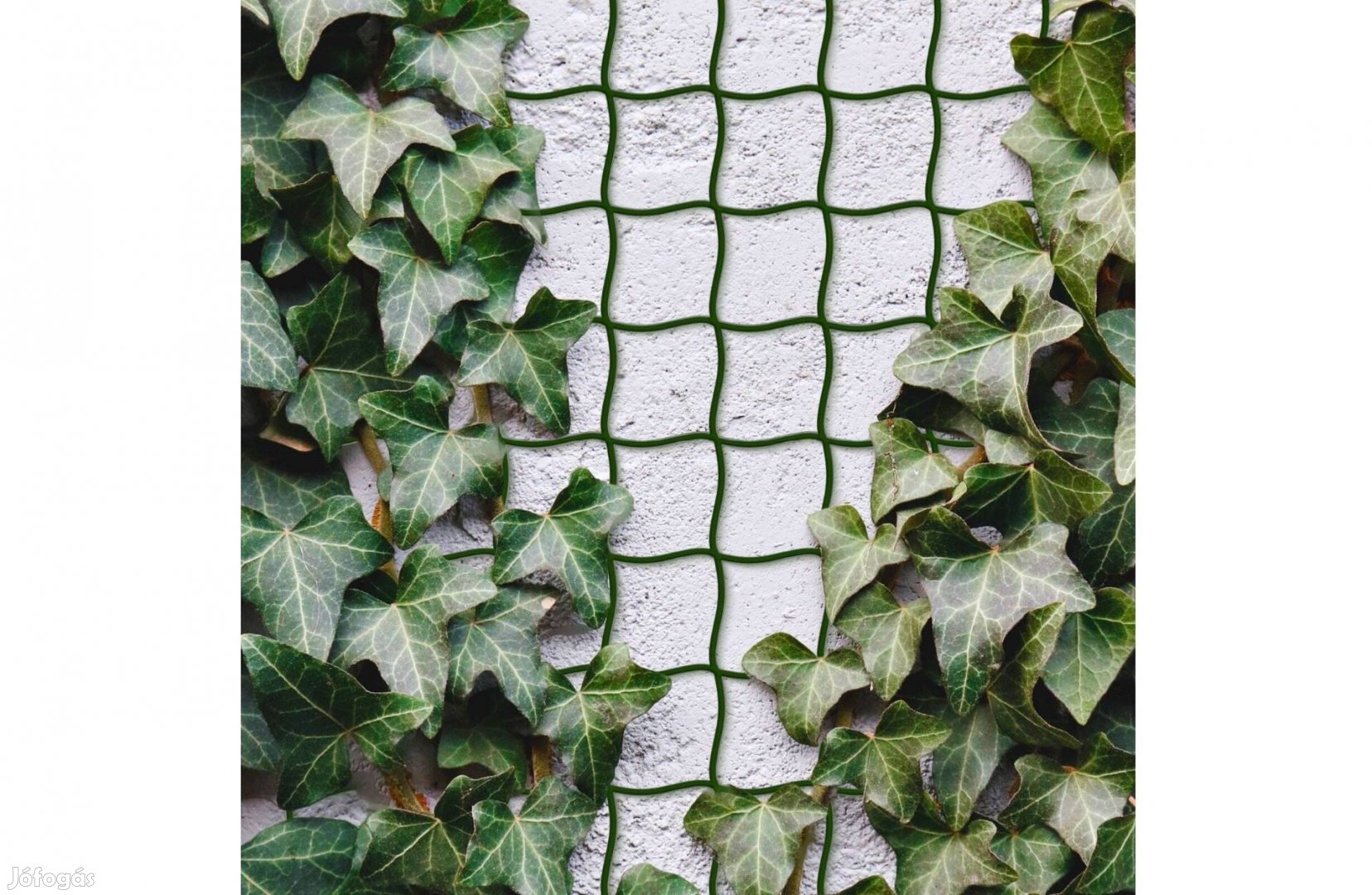 Vágható Műanyag növényfuttató háló - 5 m x 50 cm - sötétzöld