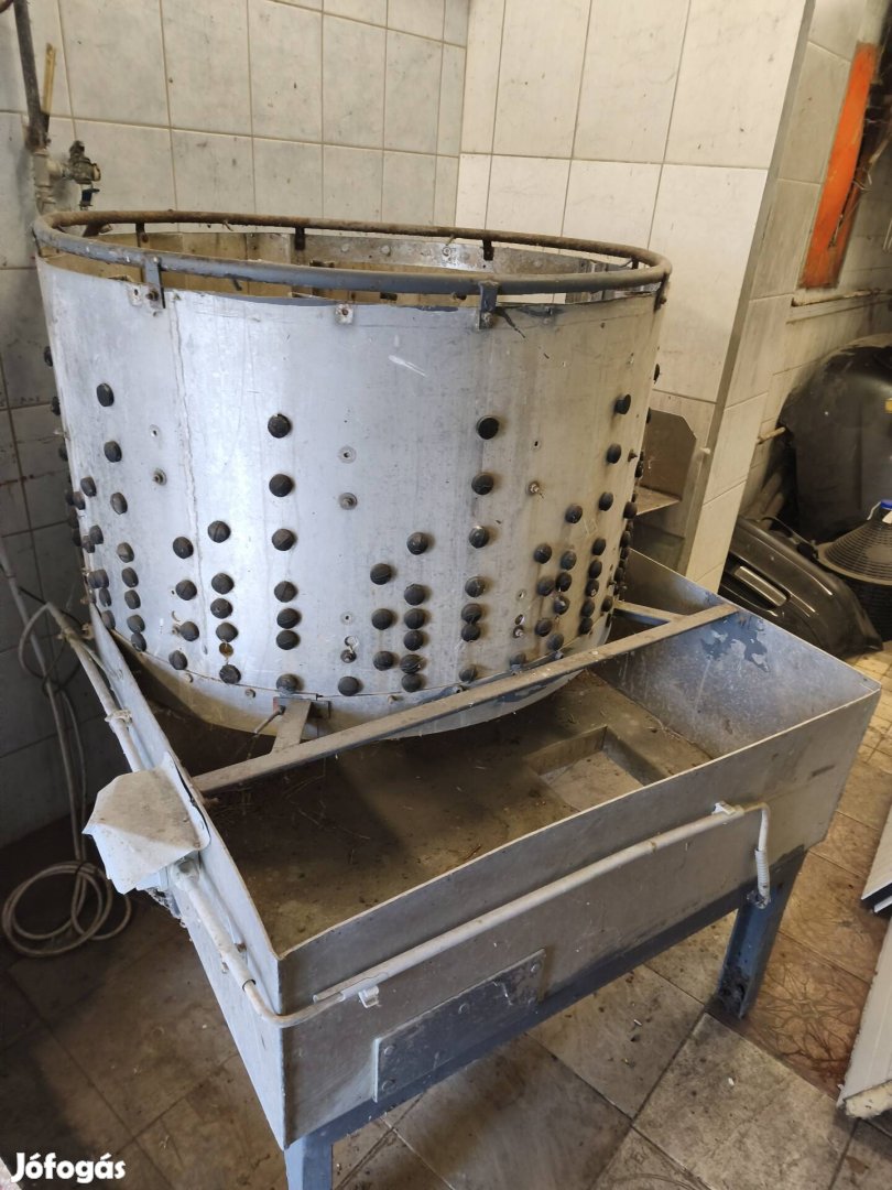 Vágohid Kopaszto gép Csirke.