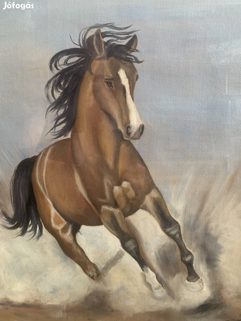 Vágtázó ló olaj festmény Czakó Dezső