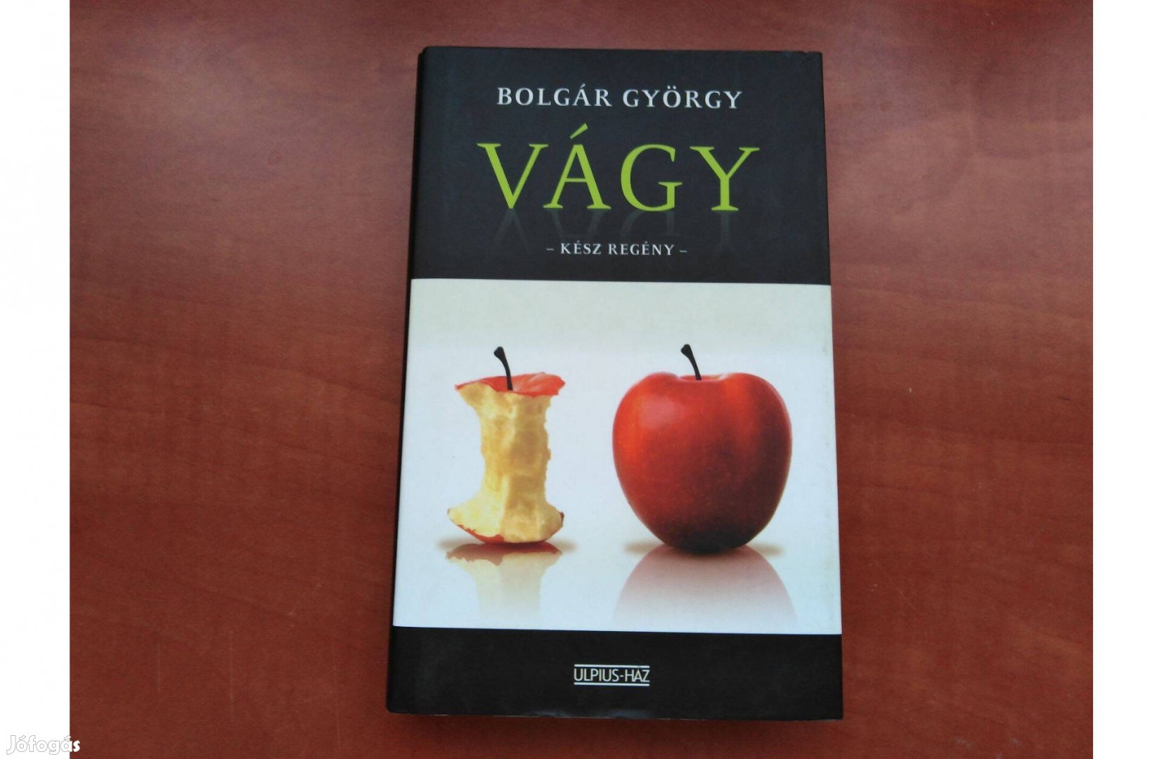 Vágy - Kész regény - Bolgár György