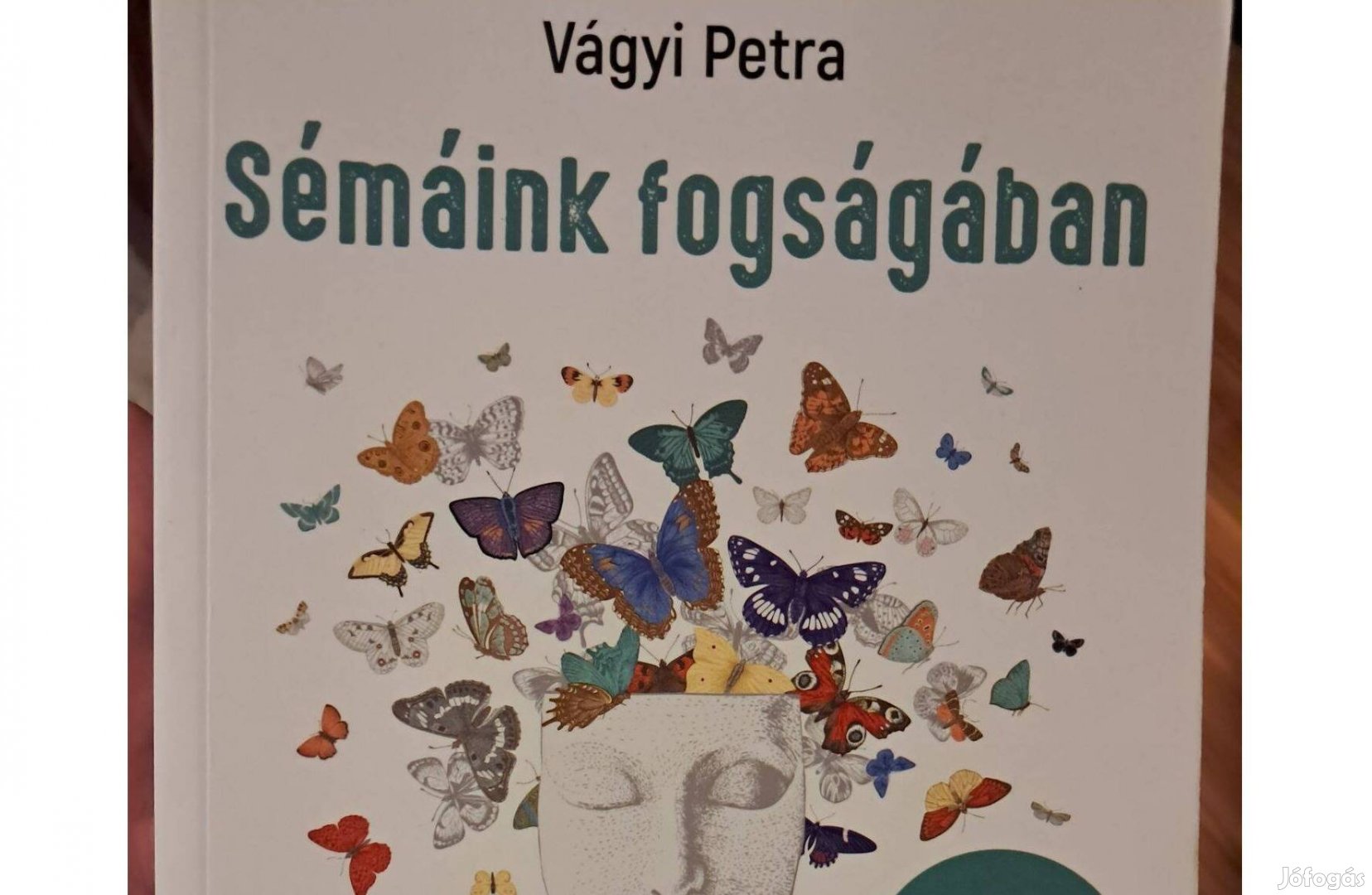 Vágyi Petra Sémáink fogságában új könyv