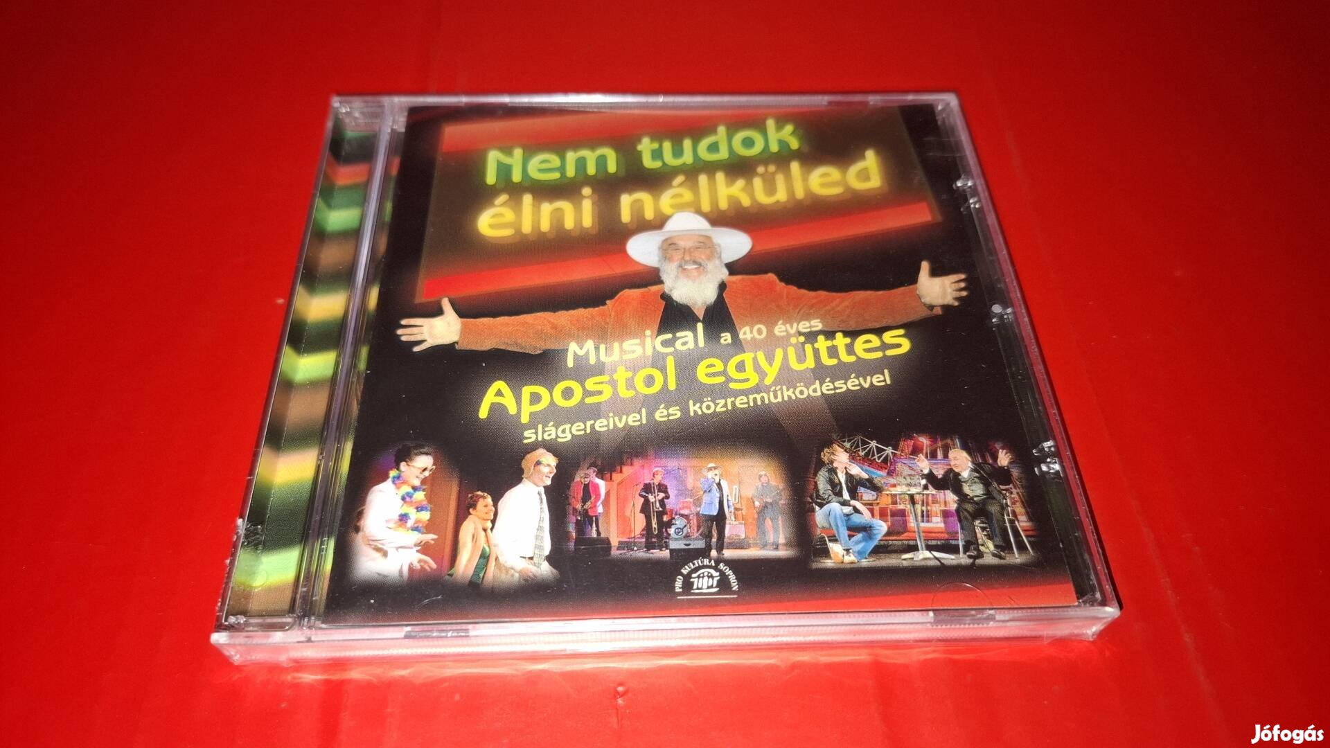 Vajda Anikó Apostol Nem tudok élni nélküled Musical Cd 2010 Új