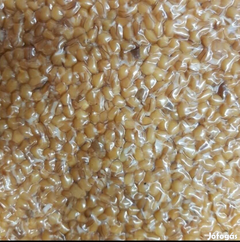 Vákumos csomagolású főtt búza