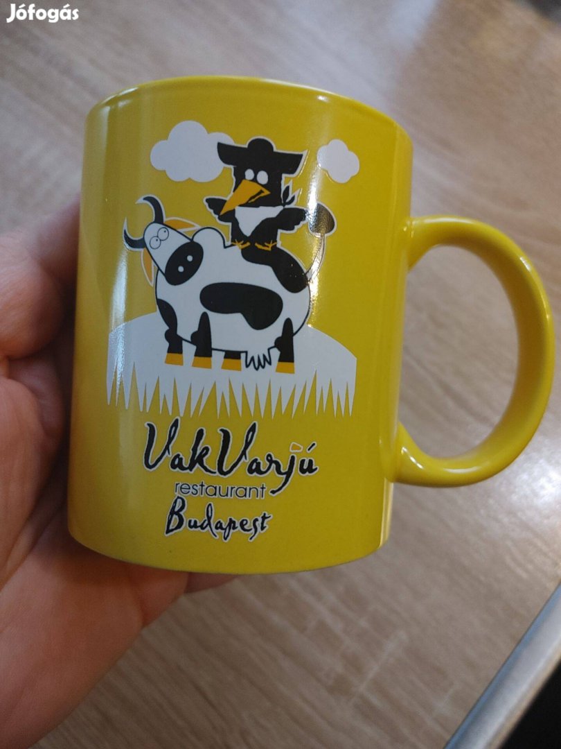 Vakvarjú bocis bögre