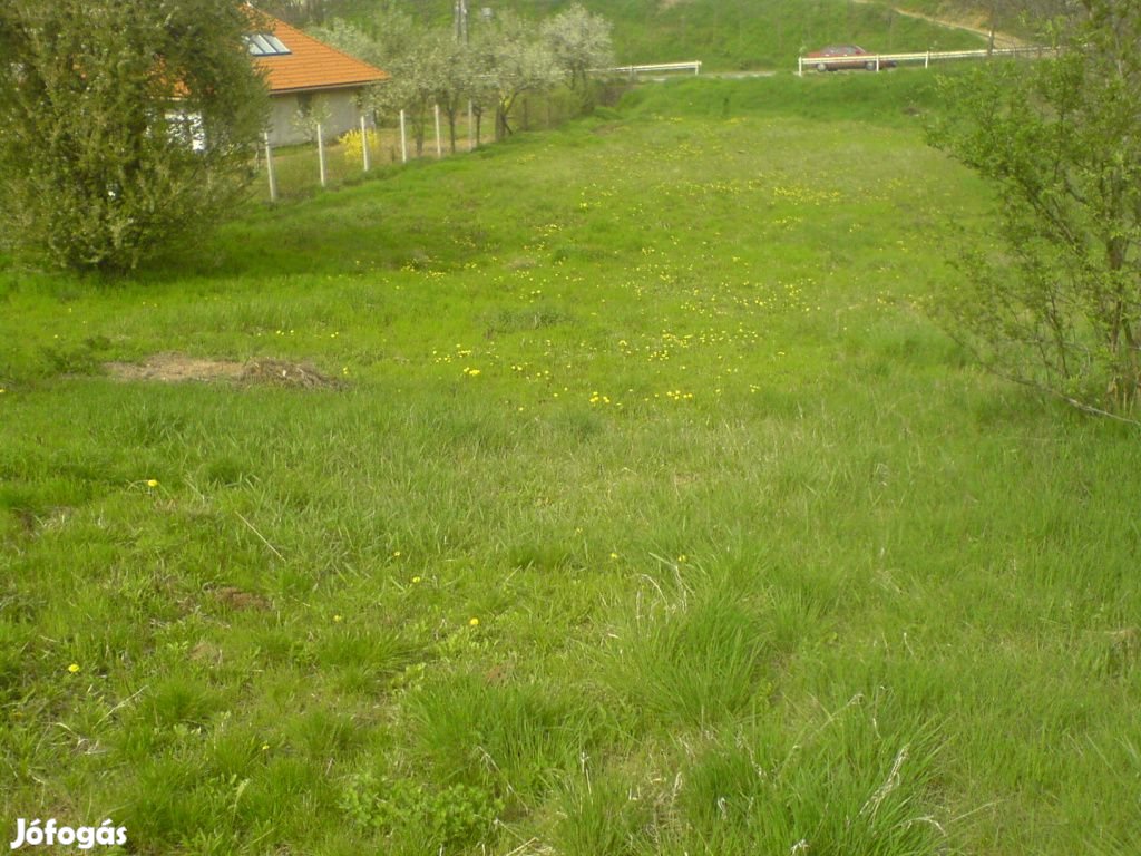 Valkó, Széchenyi utca, 1967 m2-es, telek