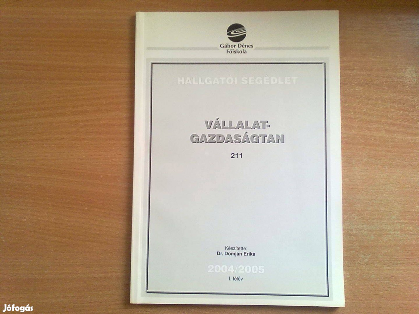 Vállalatgazdaságtan - Hallgatói segédlet (Egyszer olvasott könyv)