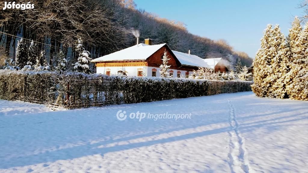 Vállalkozásra alkalmas ház - Miskolc, Pereces