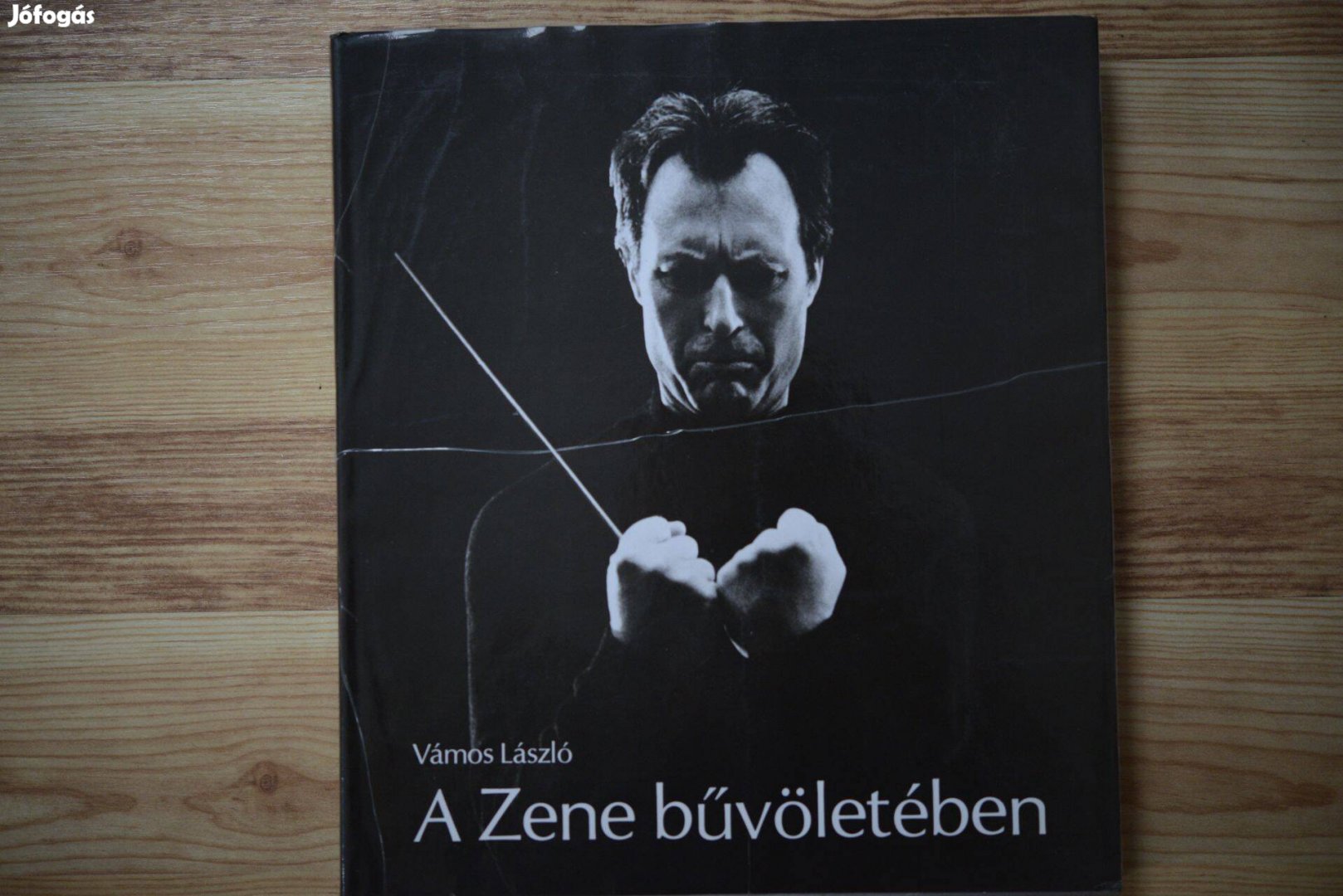 Vámos László A Zene bűvöletében