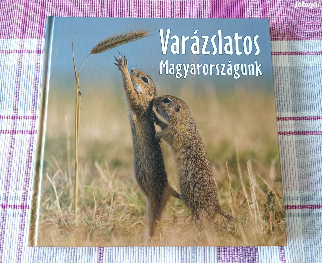 Varázslatos Magyarországunk 2012 - fotós könyv