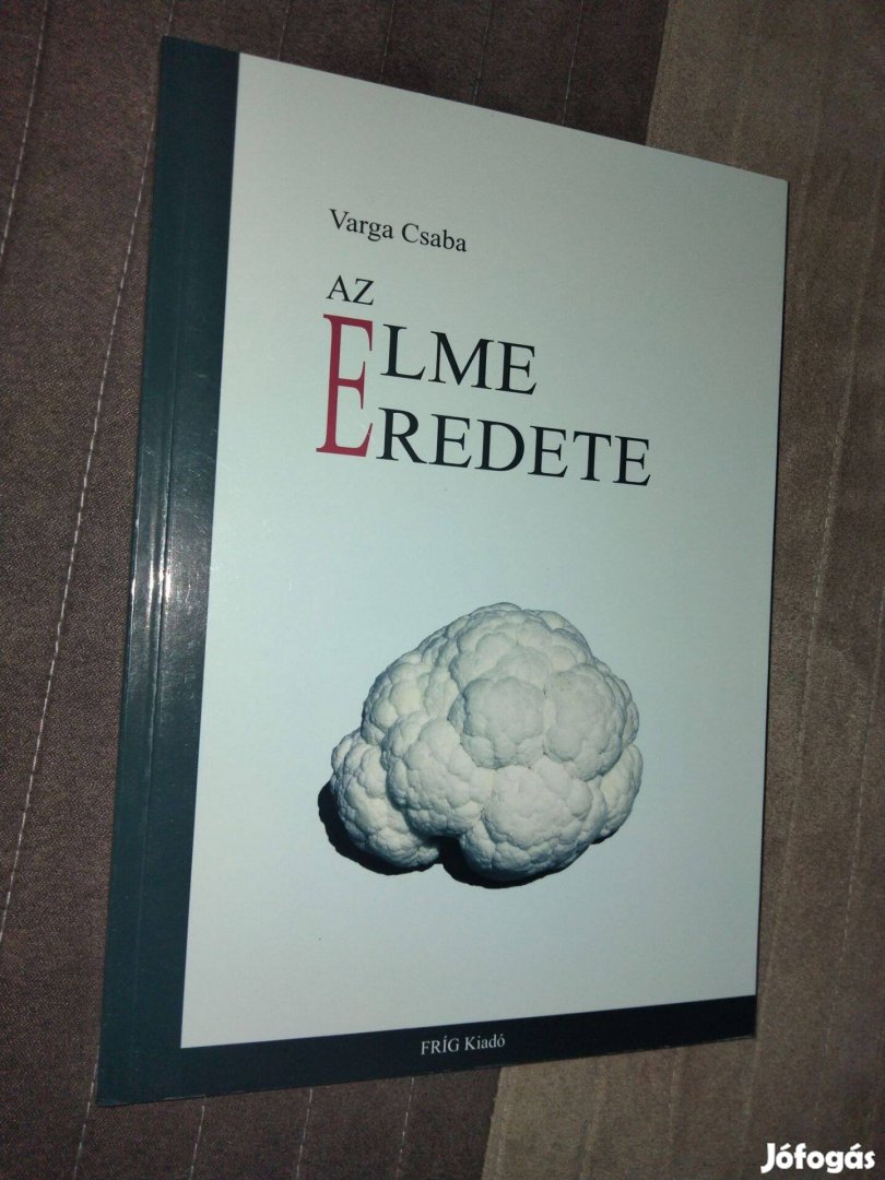 Varga Csaba : Az elme eredete