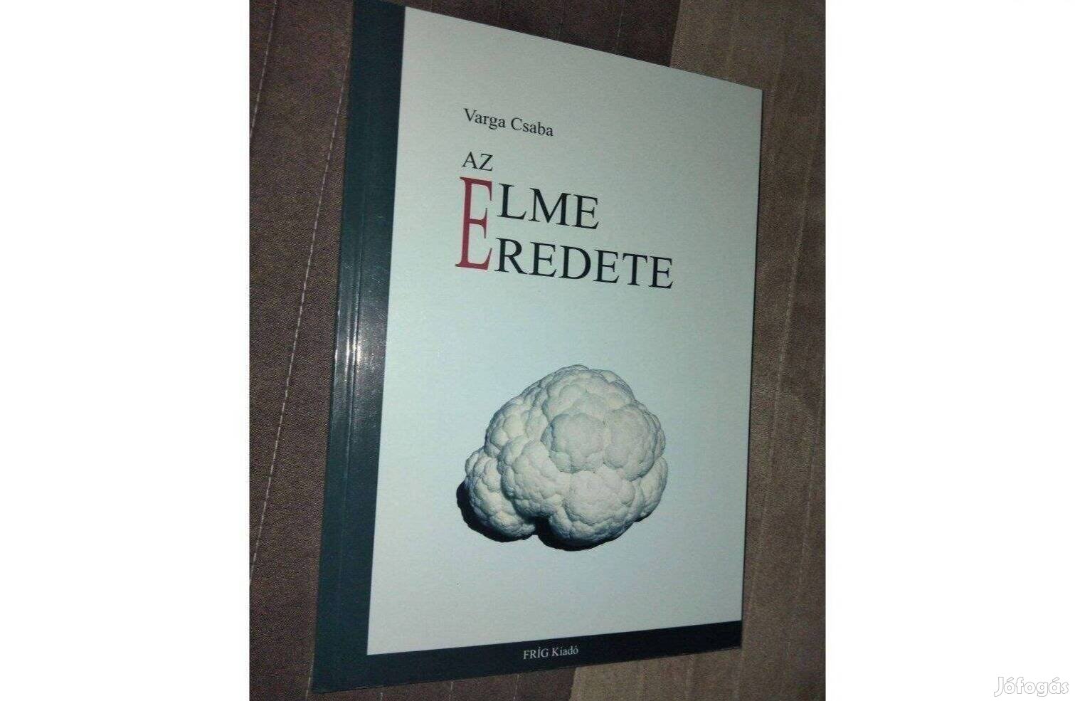 Varga Csaba : Az elme eredete