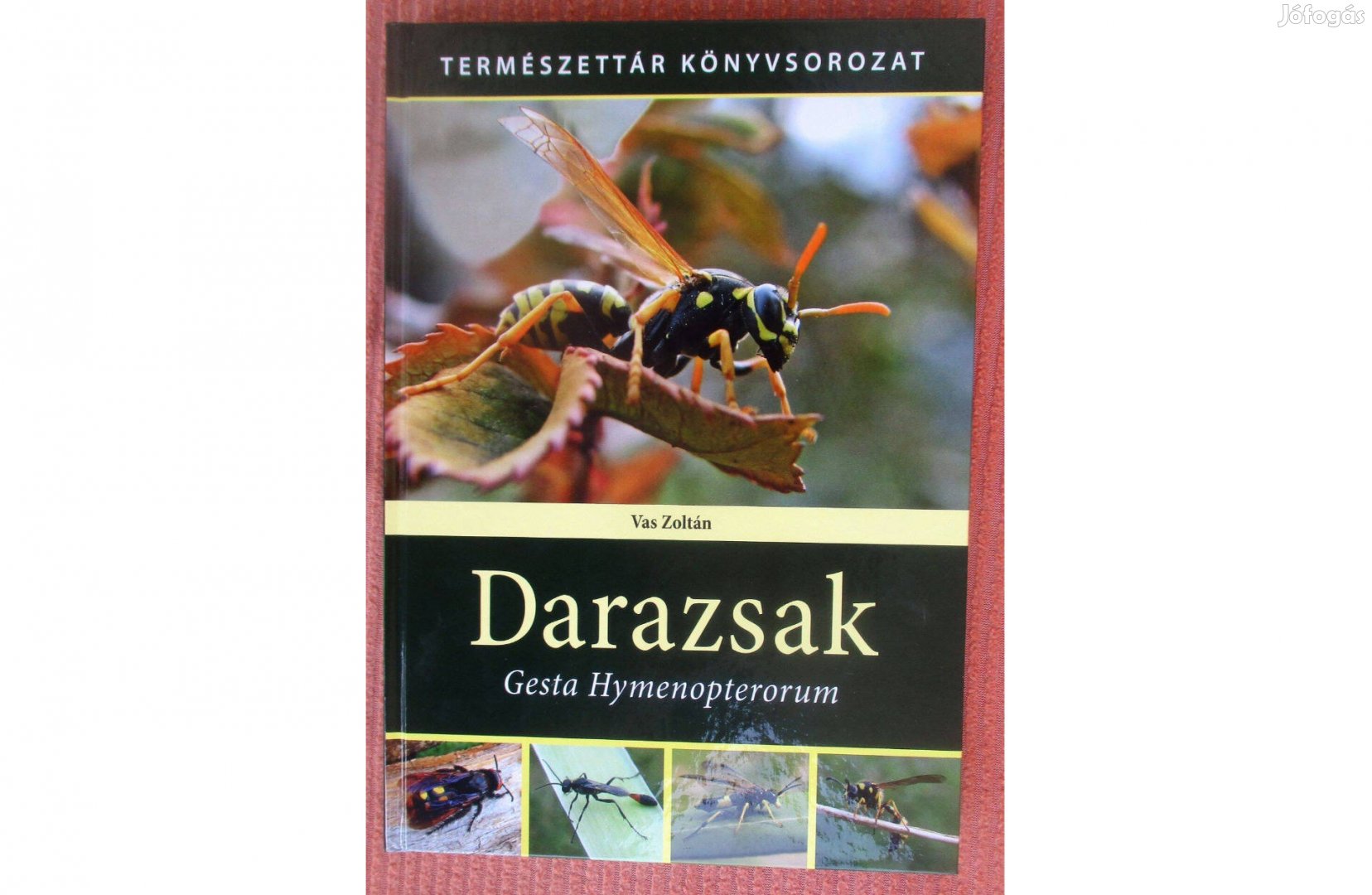 Vas Zoltán: Darazsak - Gesta Hymenopterorum