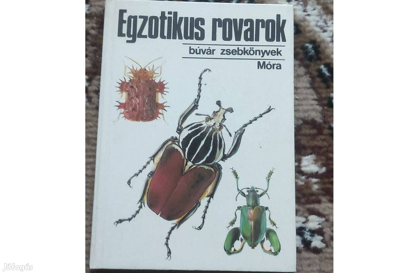 Vásárhelyi Tamás Egzotikus rovarok