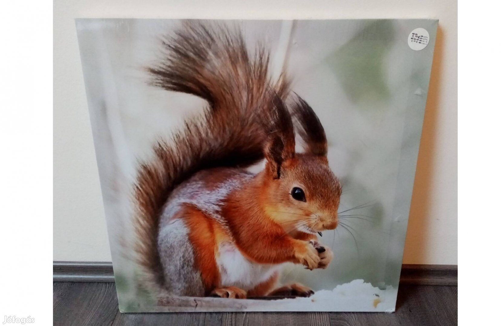 Vászonkép keretben / Mókus mintás vászon nyomat (új, fóliás)