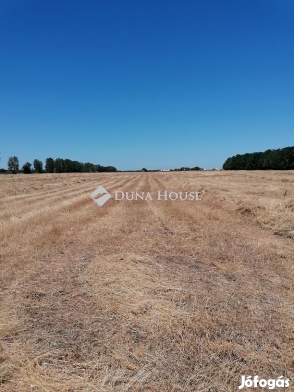 Vecsési 61539 nm-es telek eladó