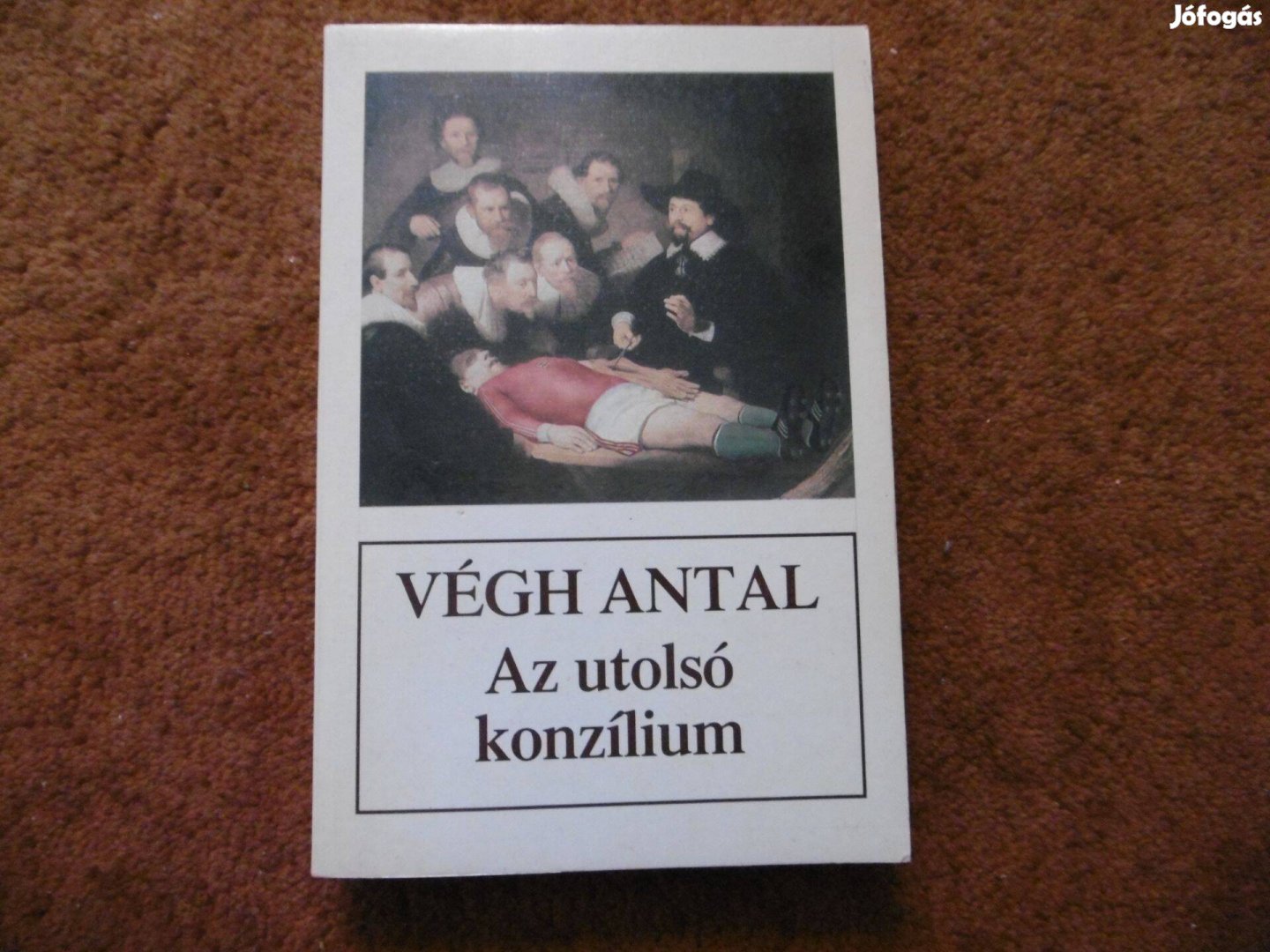 Végh Antal - Az utolsó konzílium című könyv eladó