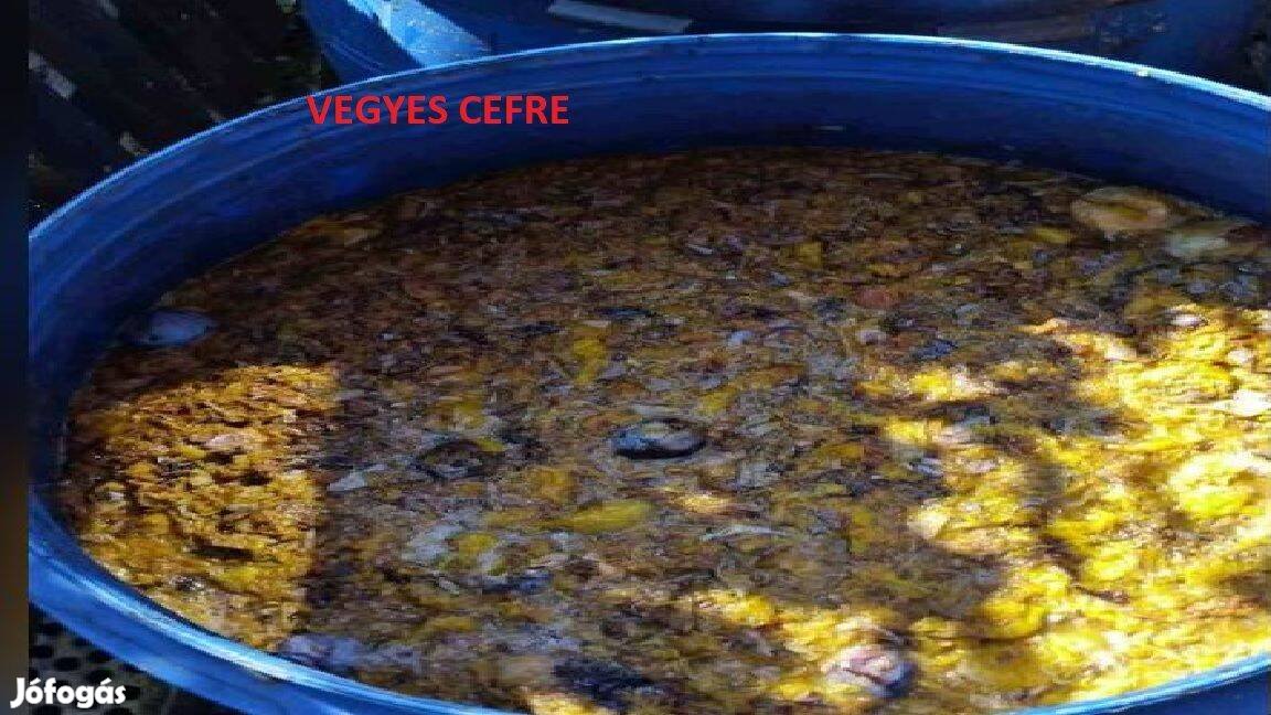 Vegyes cefre