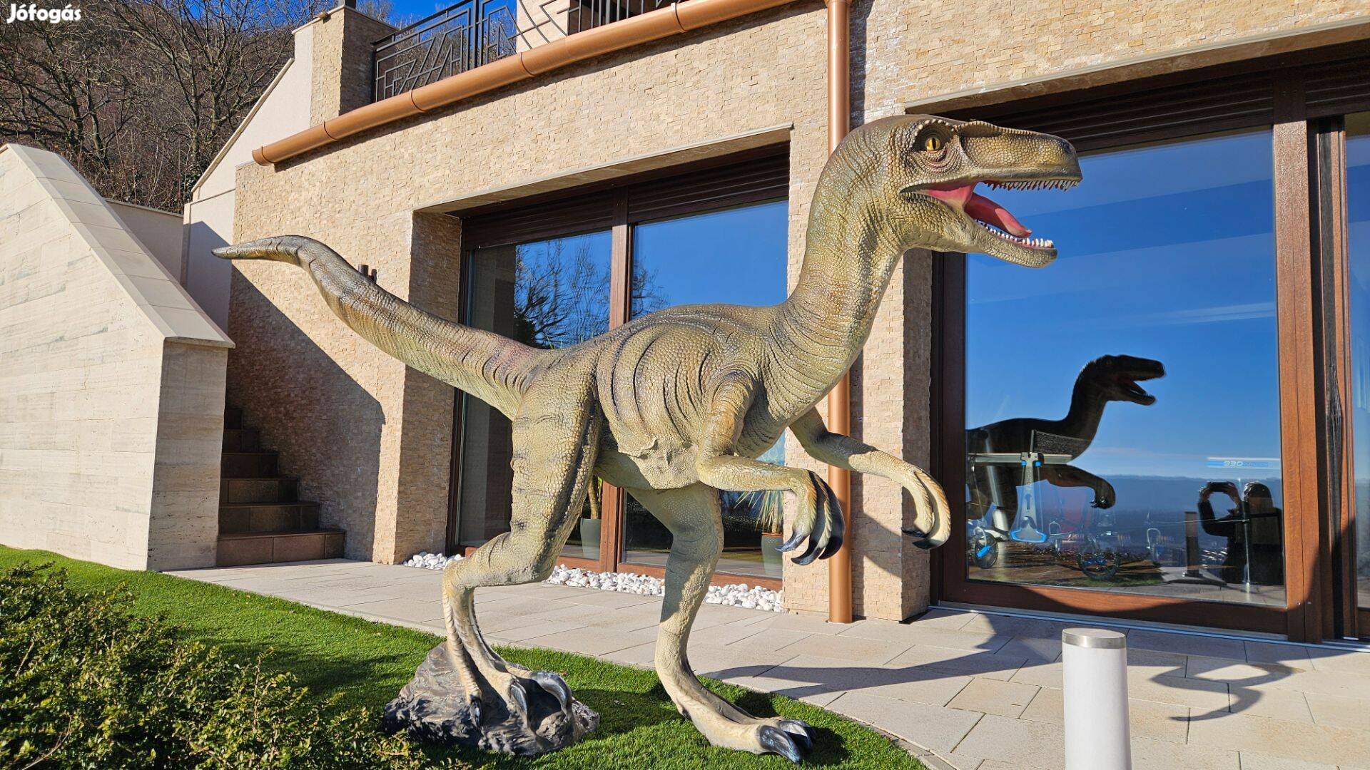 Velociraptor műgyanta egyedi design szobor 152×282 cm Új