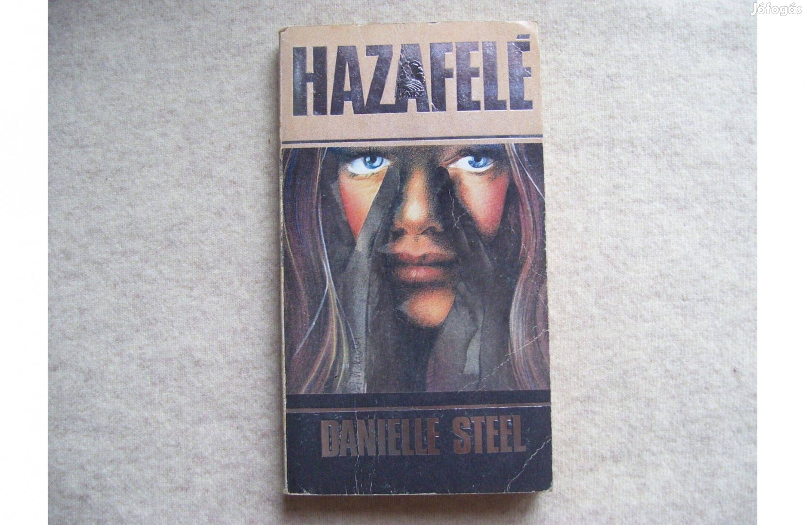 Vénusz könyvek Danielle Steel: Hazafelé