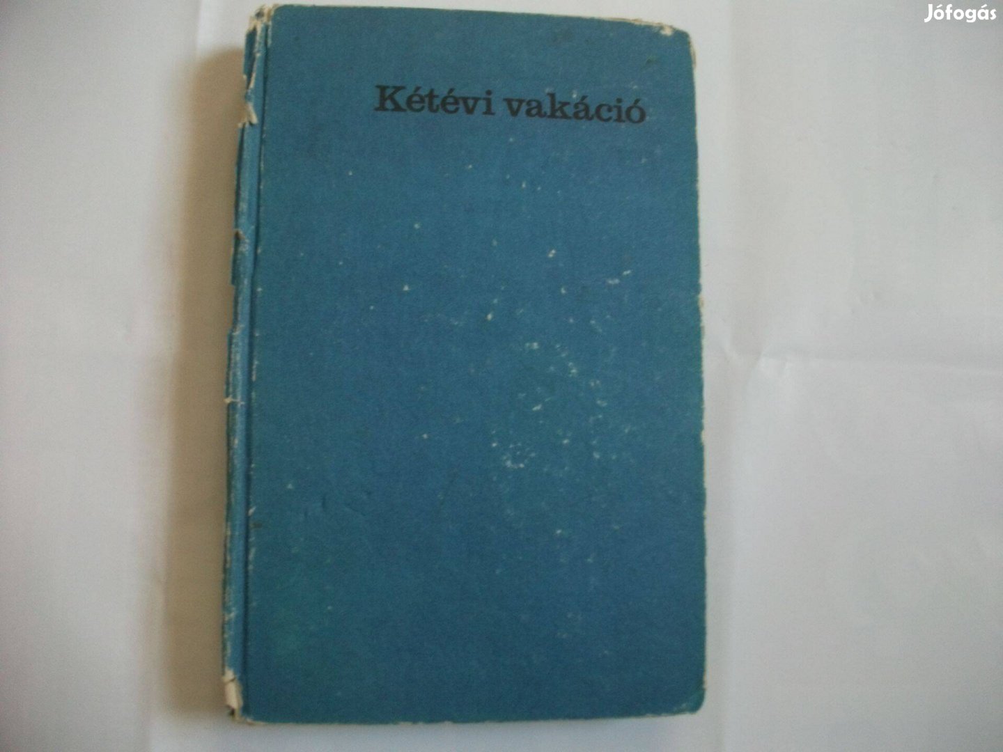 Verne Gyula Kétévi vakáció