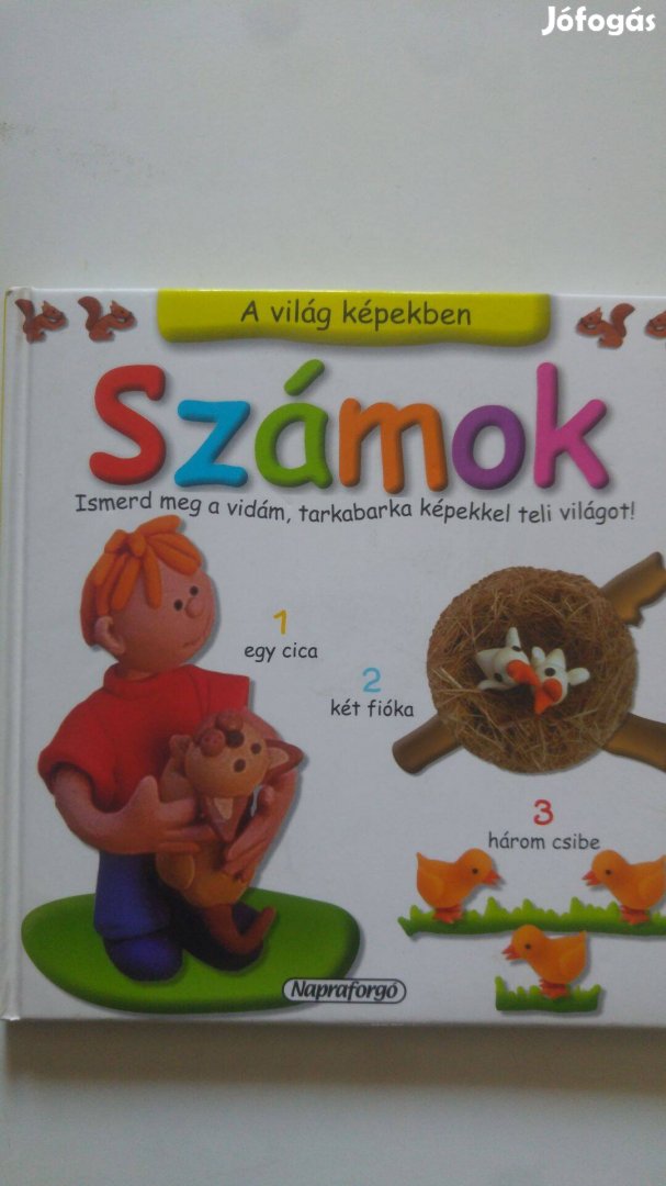 Verzár Krisztina A világ képekben - Számok