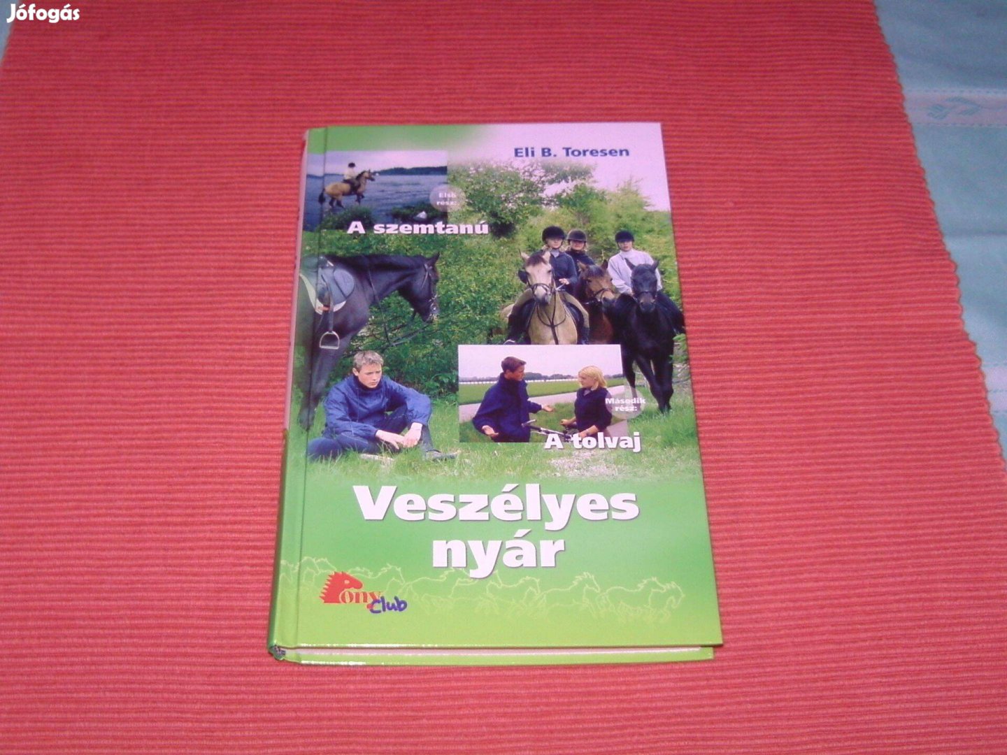 Veszélyes nyár c. könyv