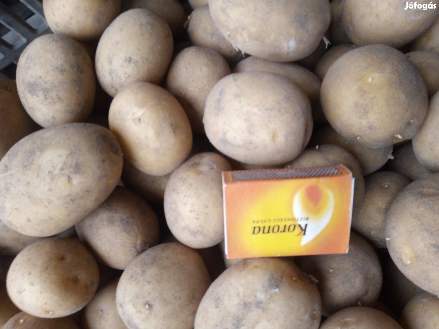 Vető méretű burgonyaeladó 100Ftkg