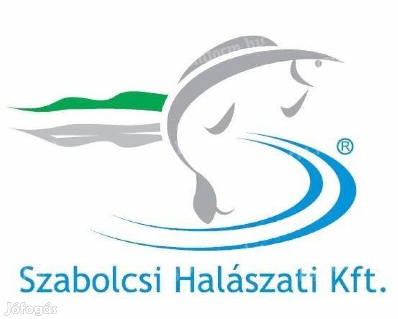 Vezető halőr