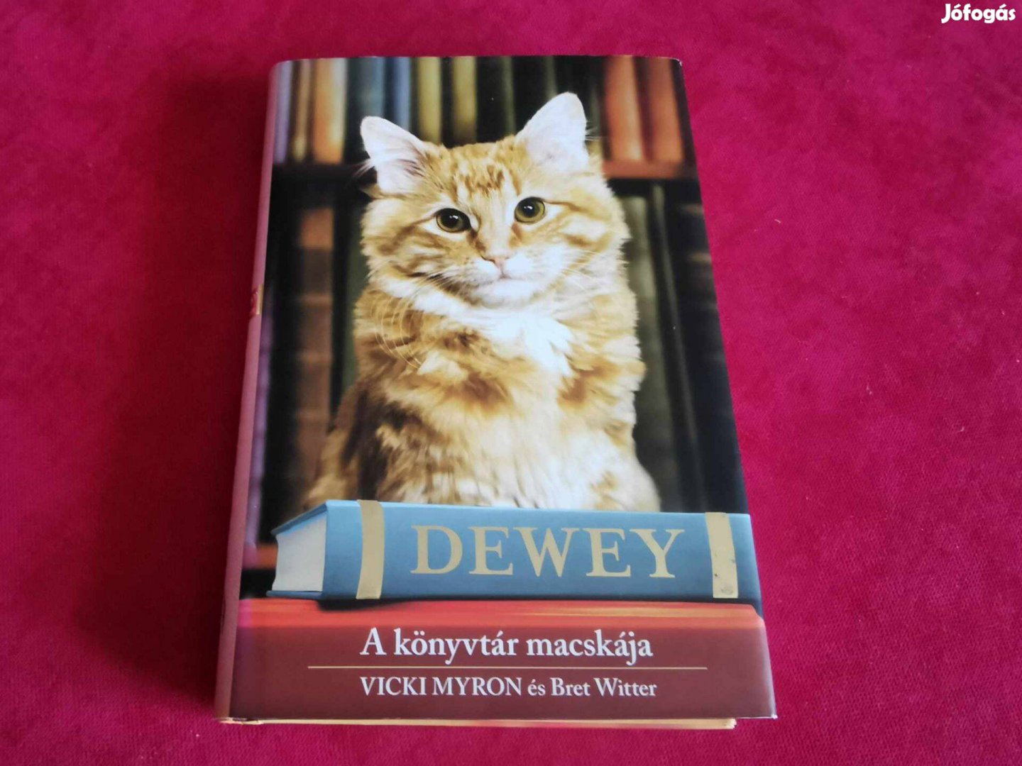Vicki Myron Bret Witter: Dewey A könyvtár macskája