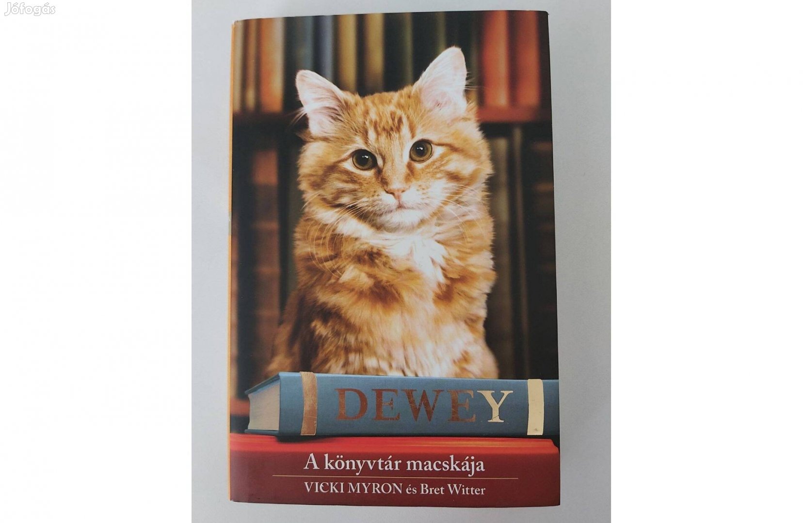 Vicki Myron - Bret Witter: Dewey - A könyvtár macskája