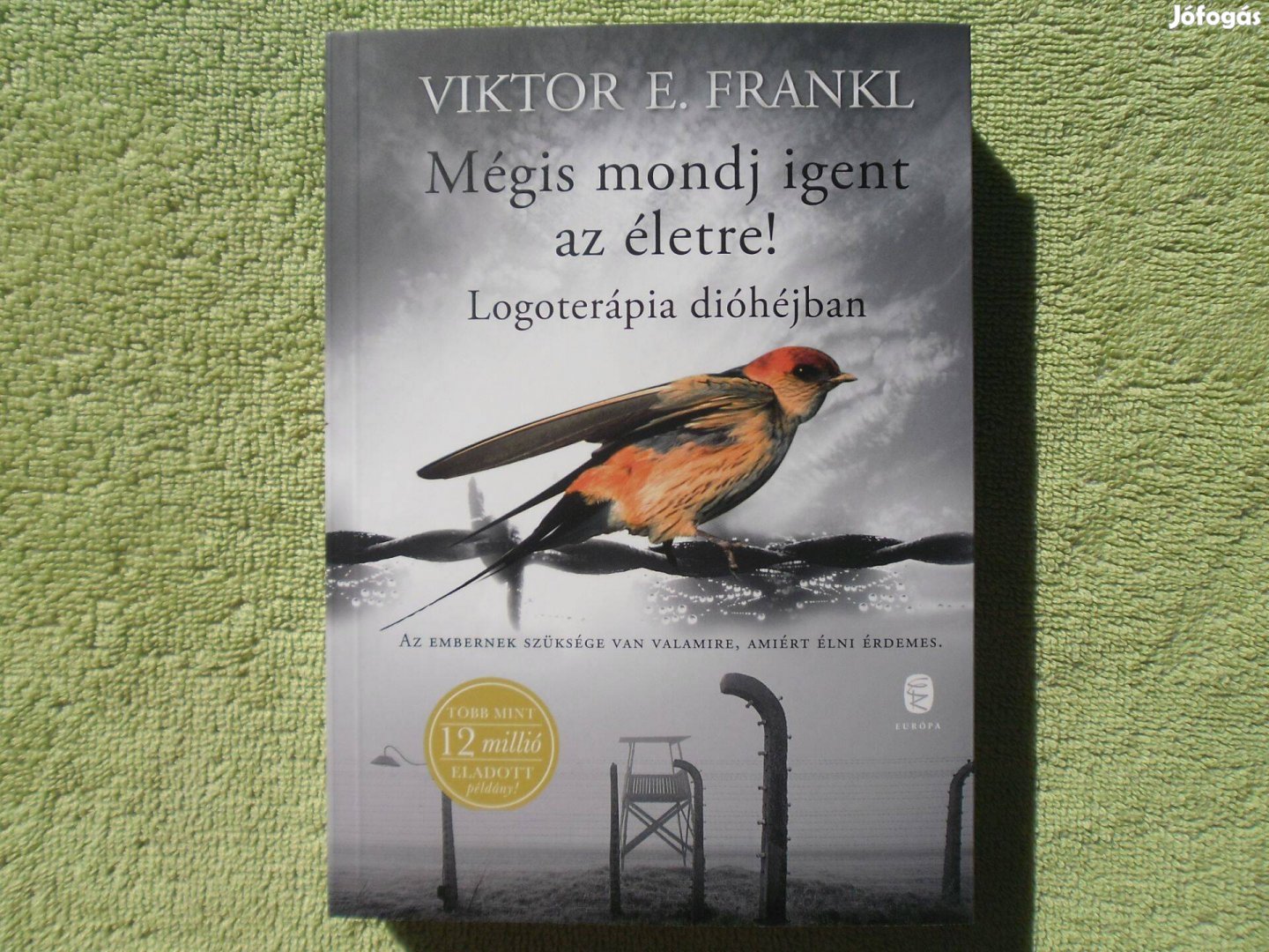 Victor E. Frankl: Mégis mondj igent az életre!