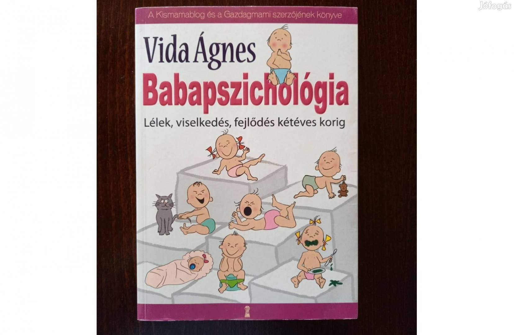 Vida Ágnes - Babapszichológia
