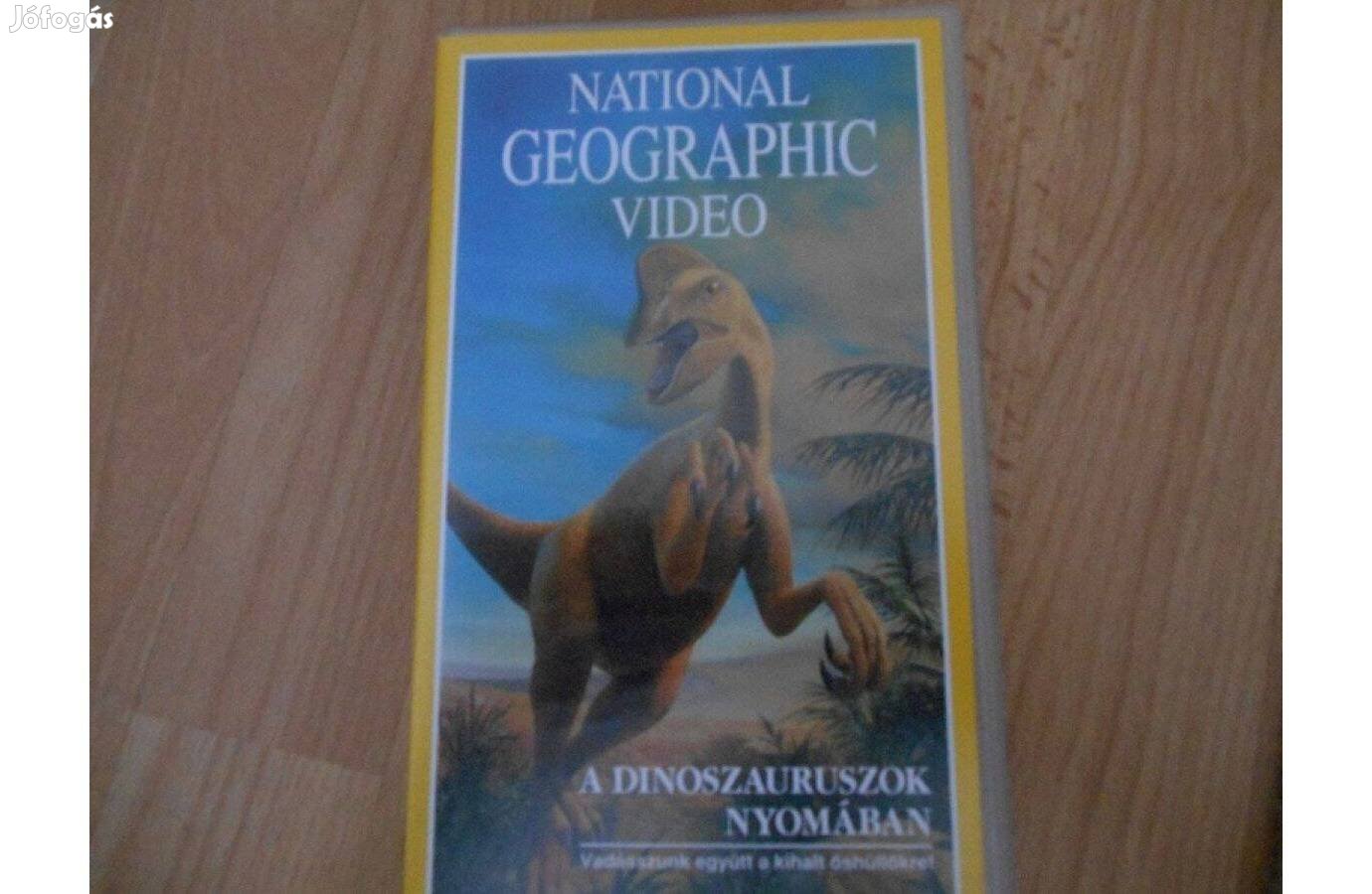 Videófilm A dinoszauruszok nyomában