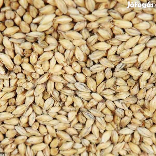 Vienna maláta EBC 7  10 dkg  (1726)