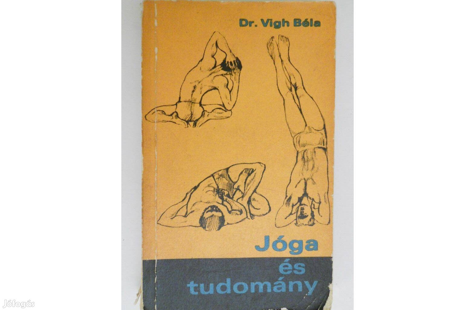 Vígh Béla dr. - Jóga és tudomány könyv