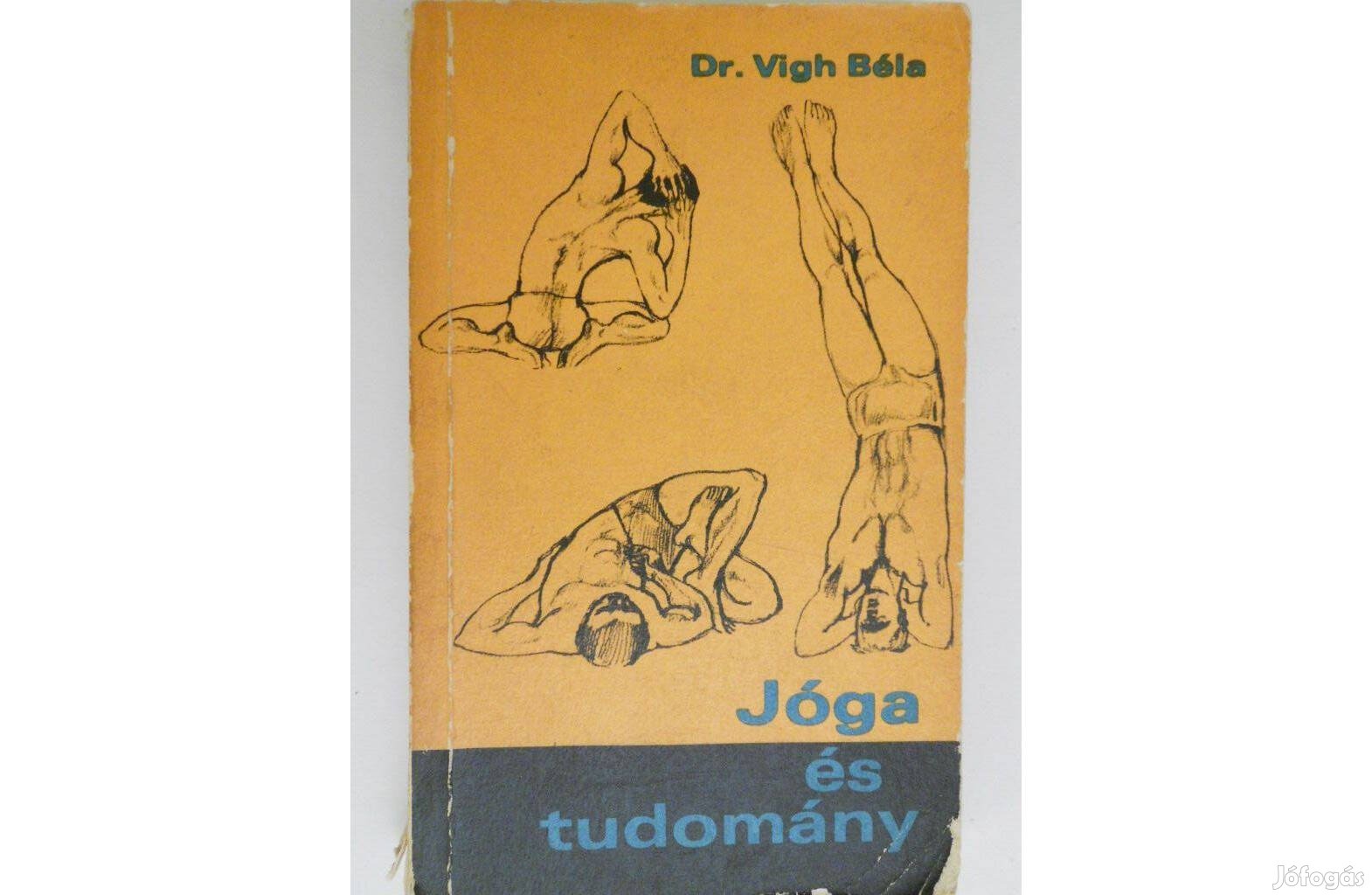 Vígh Béla dr. - Jóga és tudomány könyv