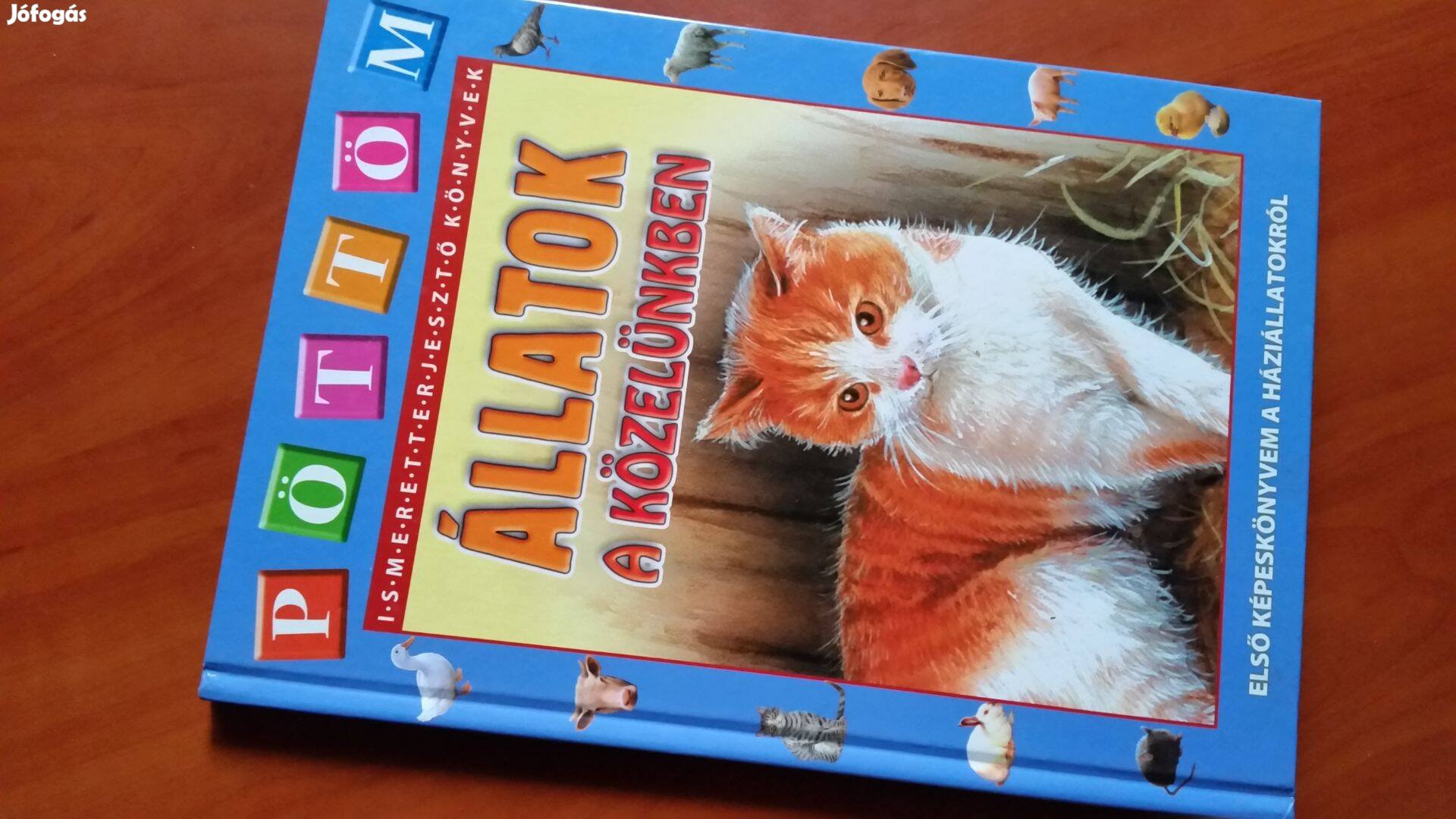 Vígh Hajnalka Állatok a közelünkben Plesznivy -Varga P.