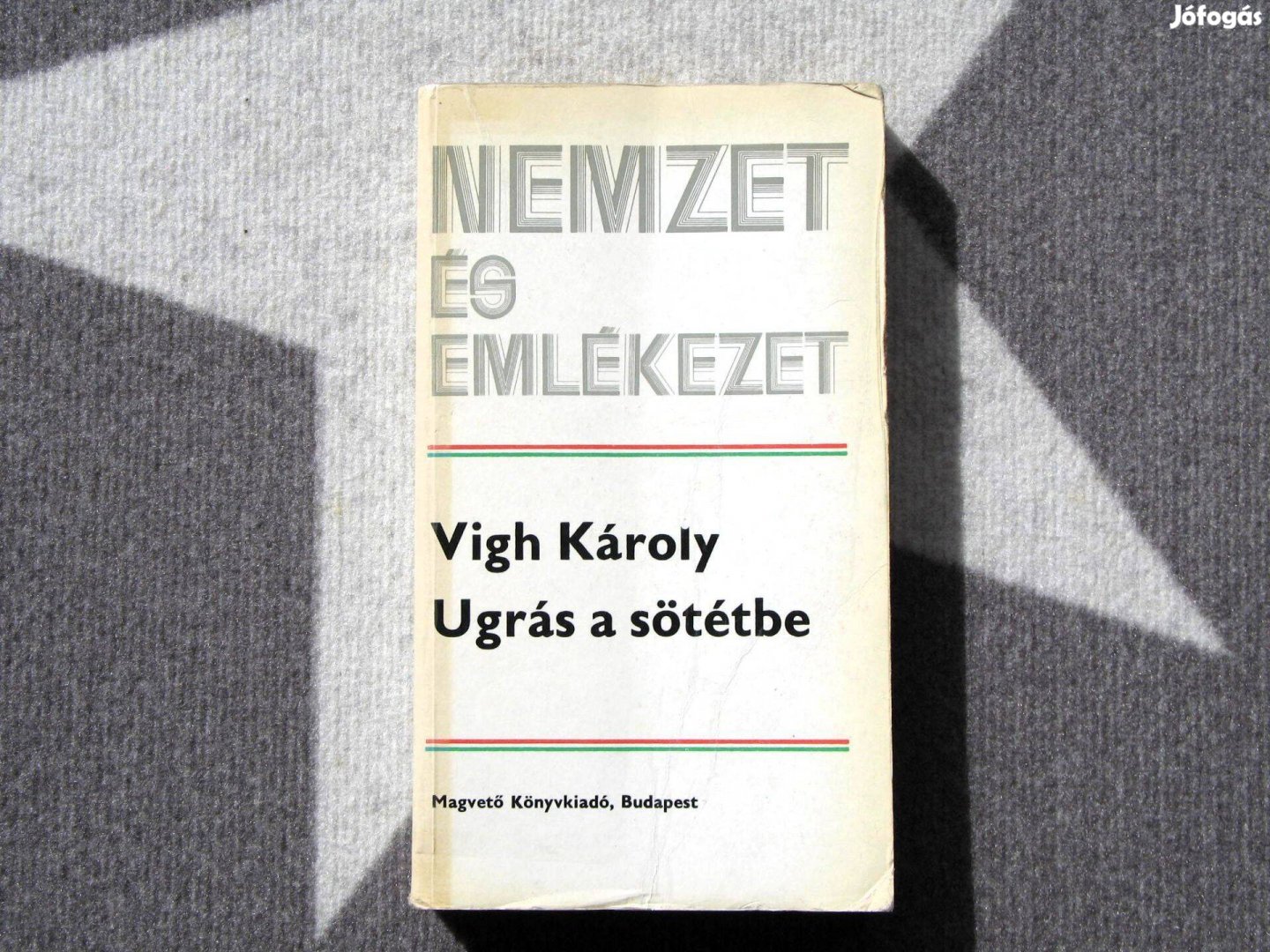 Vigh Károly: Ugrás a sötétbe