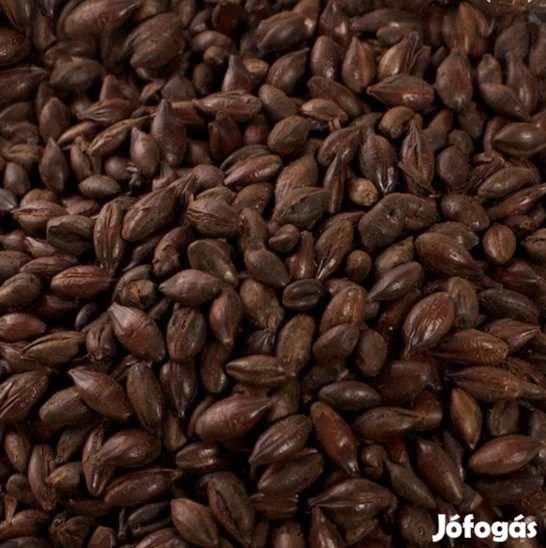 Viking Chocolate festőmaláta. 800-1000 EBC 10dkg  (050)