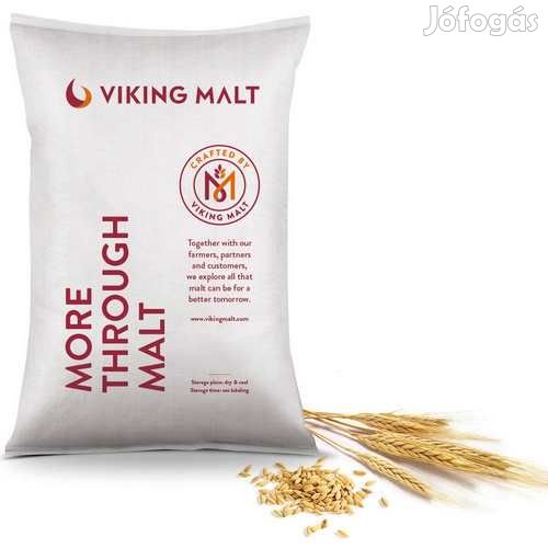 Viking Pale Ale maláta   5 EBC 1 kg  (5293)