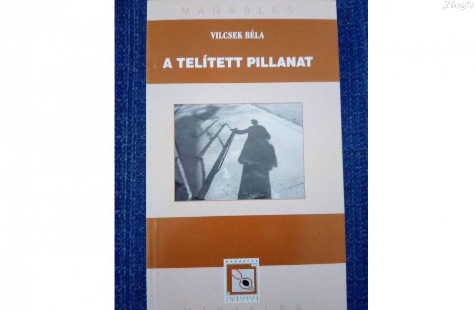 Vilcsek Béla: A telített pillanat-elemzések, értelmezések, életpályák