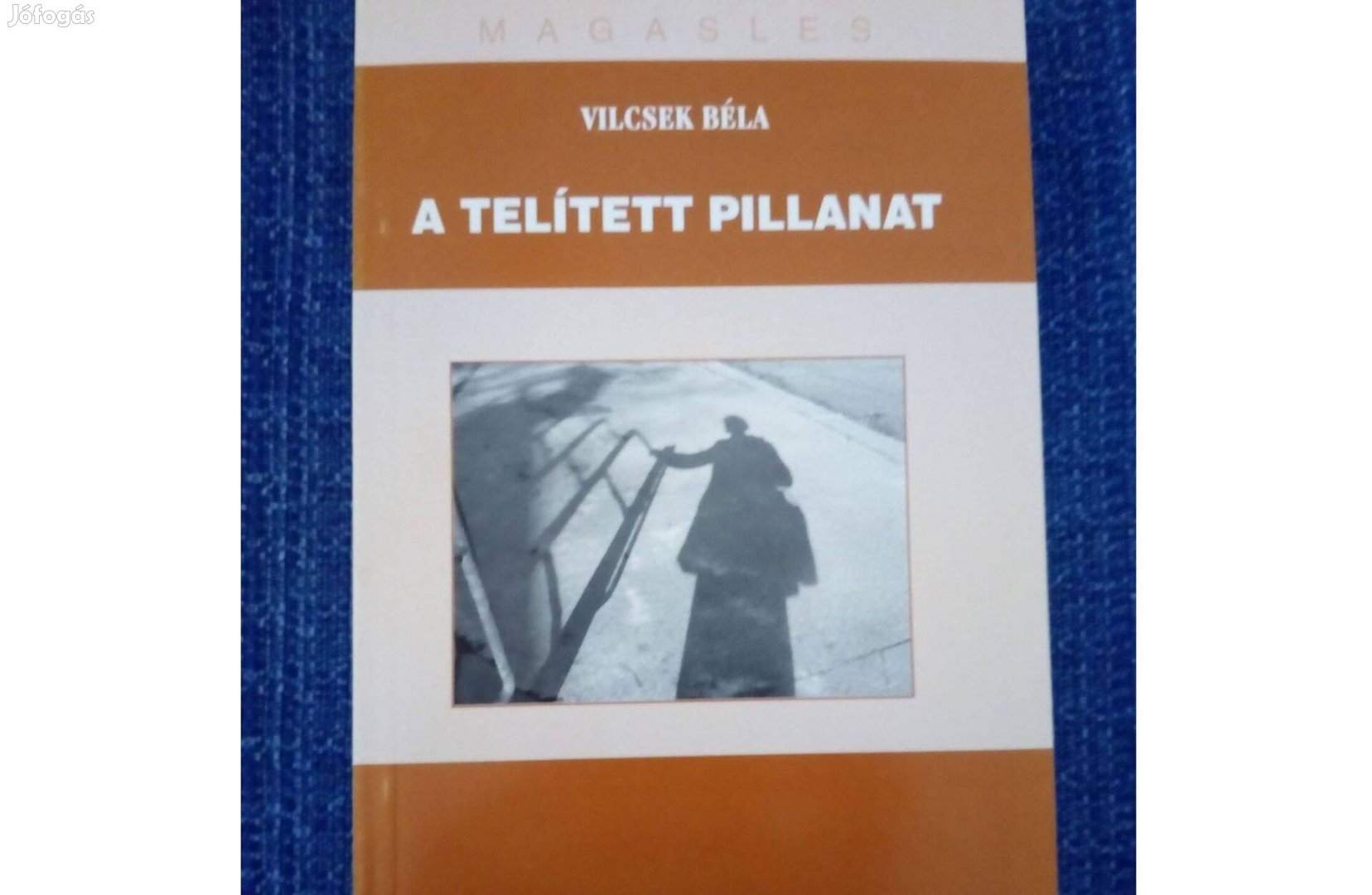 Vilcsek Béla: A telített pillanatelemzések, értelmezések, életpályák