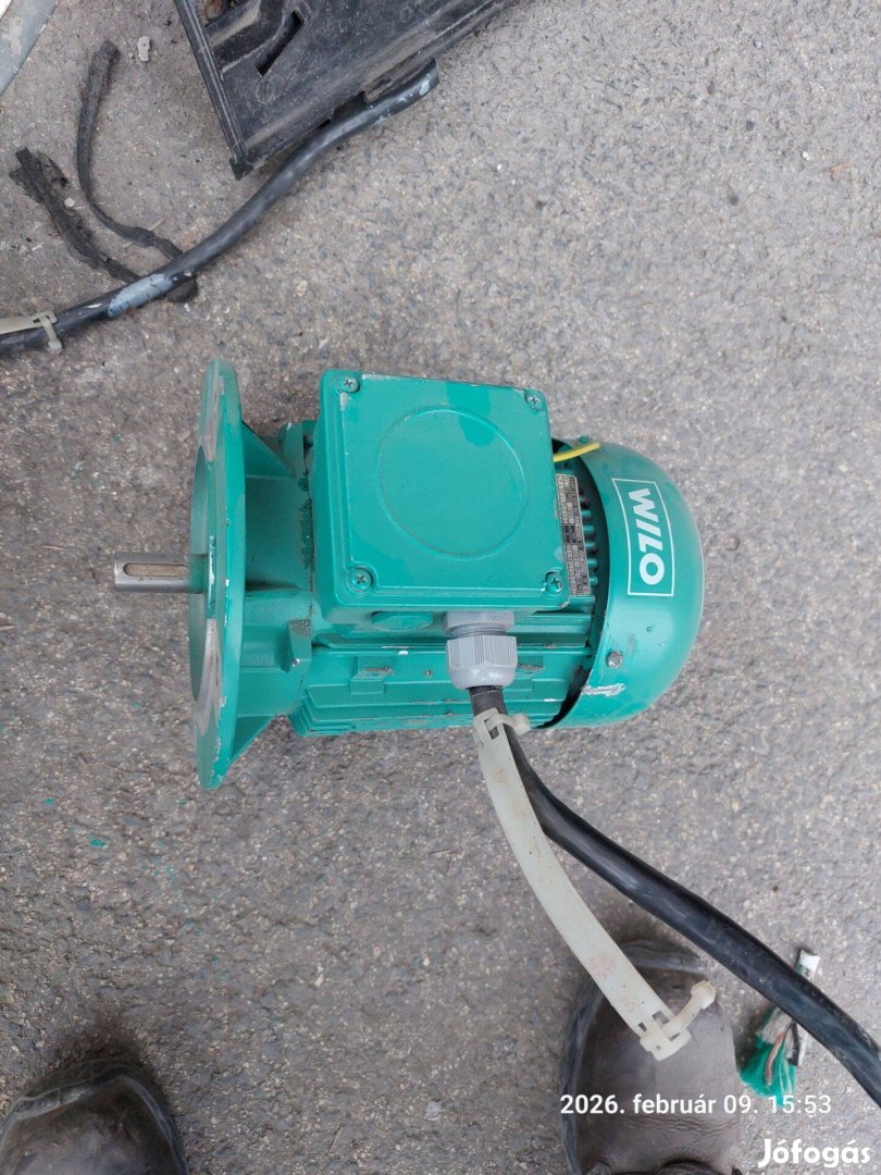 Villanymotor Wilo