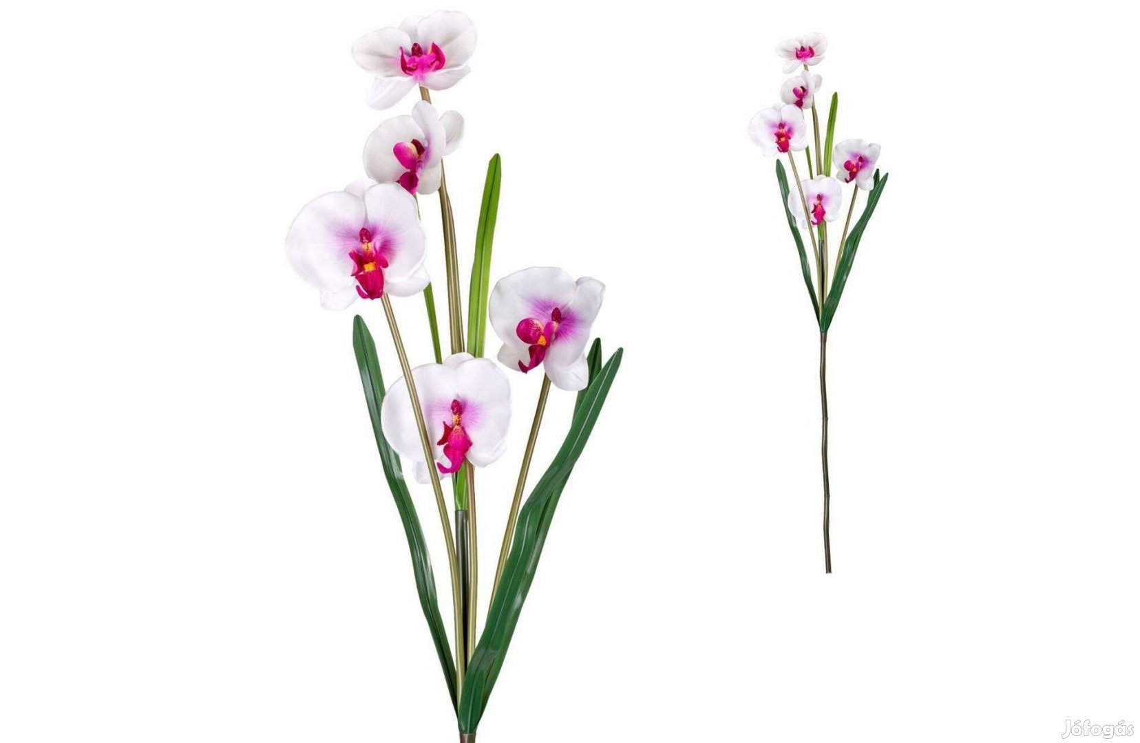 Virág dekoratív orchidea fehér 100 cm