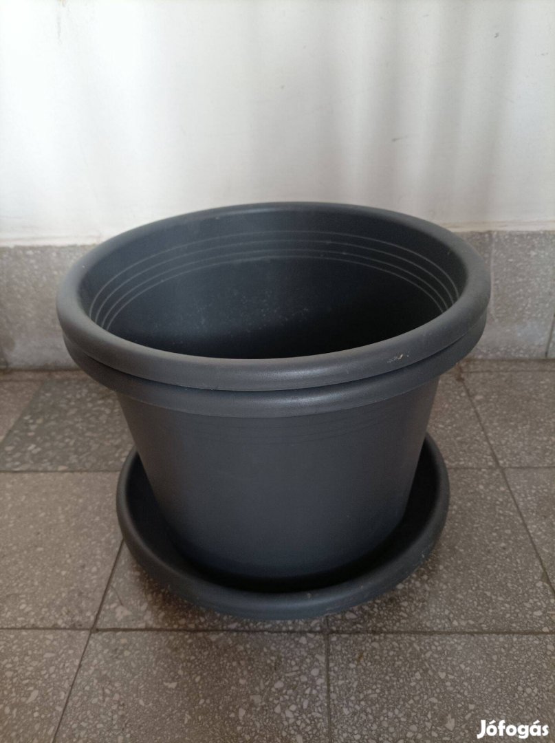 Virág kaspó eladó