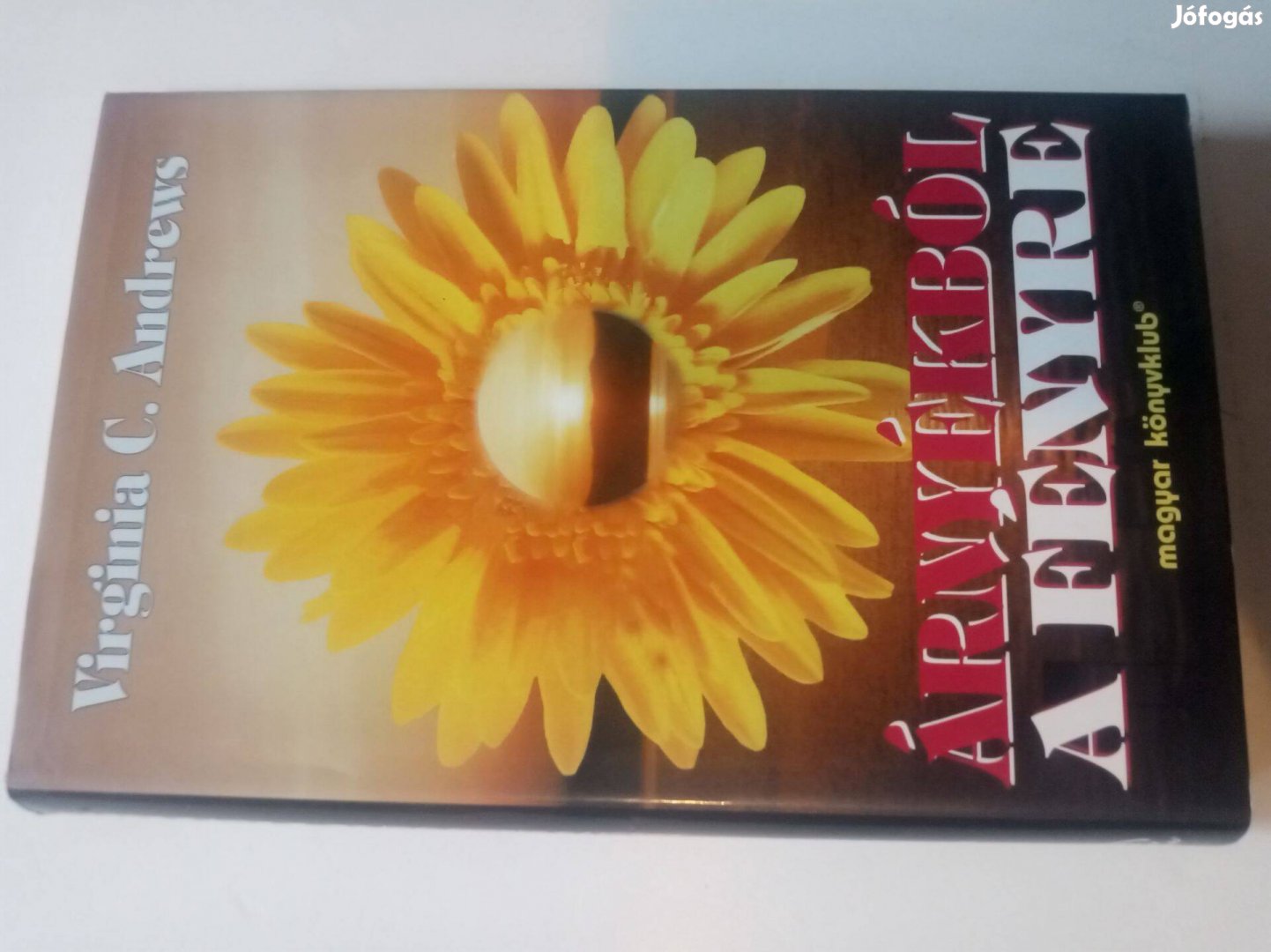 Virginia C. Andrews Árnyékból a fényre