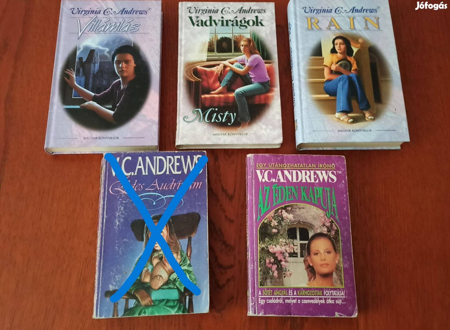 Virginia C. Andrews könyvcsomag 4 db könyv