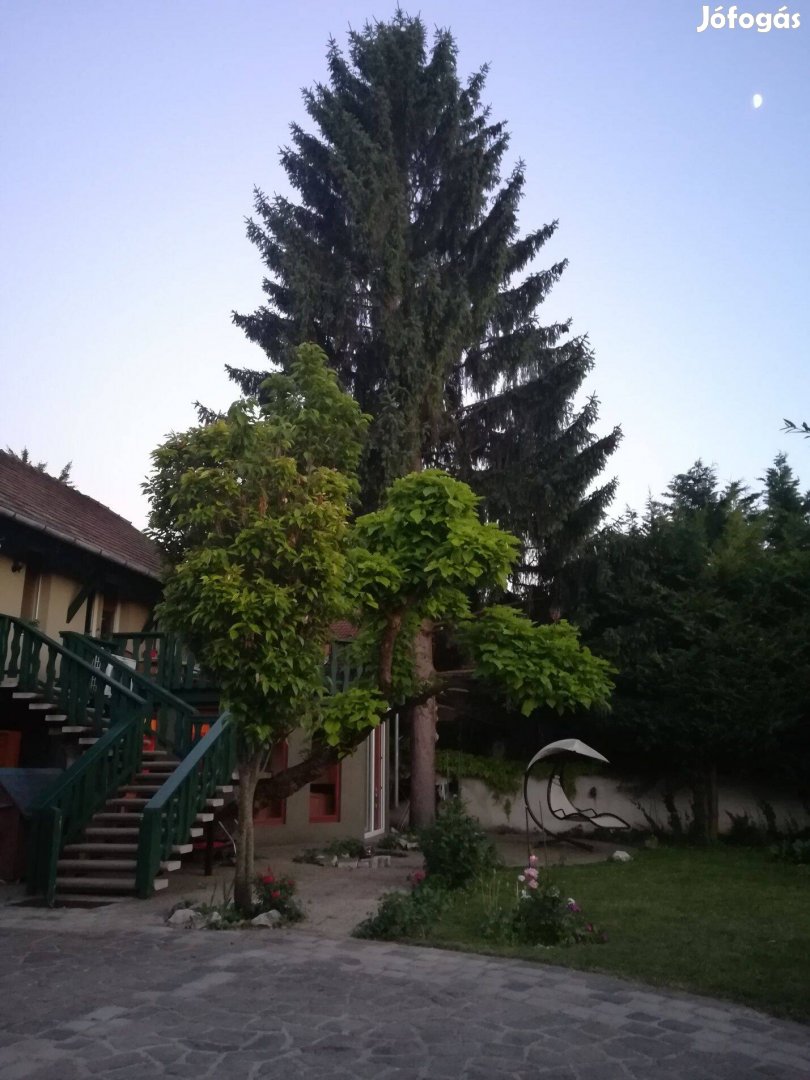Visegrádi Kuriózum eladó - 2 generációs ház és intim kert várja Önt!