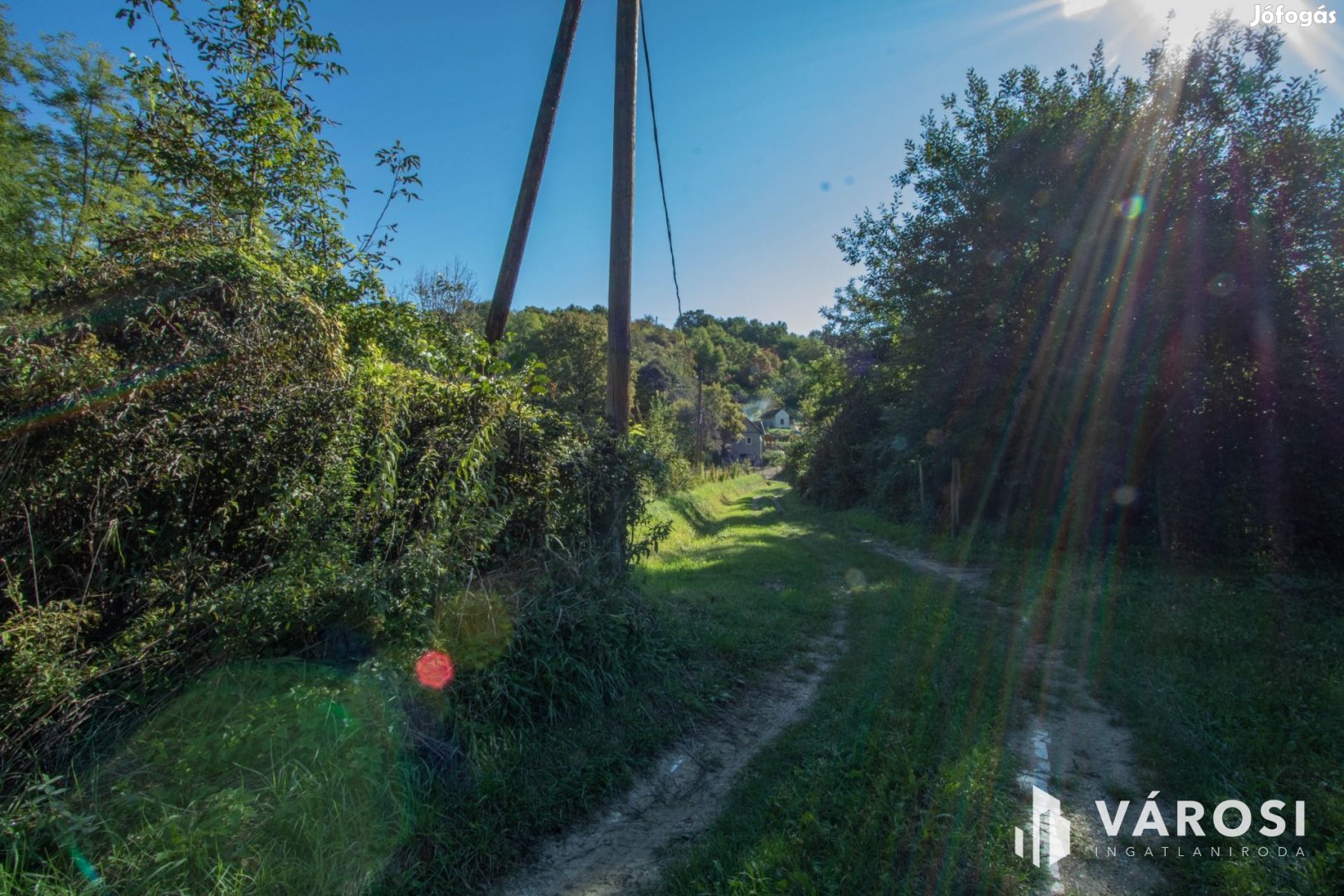 Vissza a természetbe, az erdő közepére, a domb tetejére