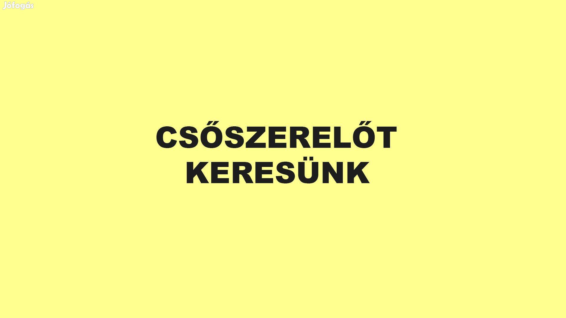 Víz-gáz-fűtésszerelőt keresünk